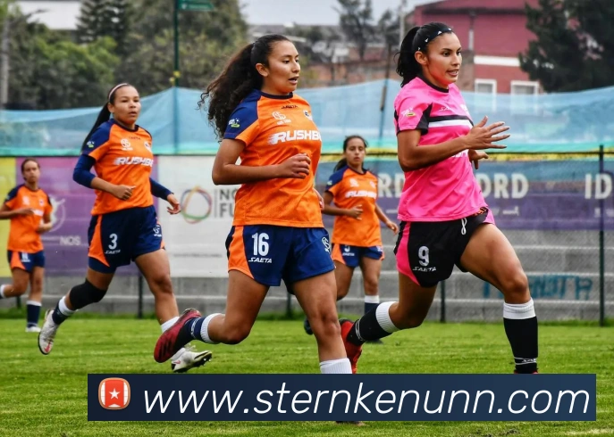 辅助工具